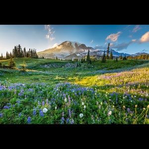 Meet your Posher, Cassidy